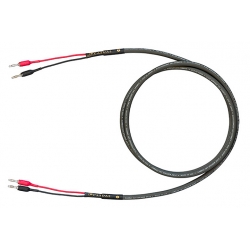 Kabel głośnikowy CARDAS 101 Speaker Cable