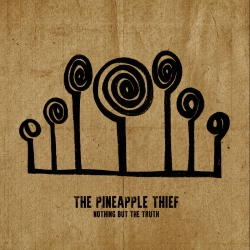 The Pineapple Thief - Nothing But The Truth, 2LP, KSCOPE 2021 r.