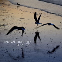 Tingvall Trio – Birds, LP Skip Records, Germany 2003 r.