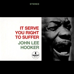 John Lee Hooker - It Serve You Right To Suffer, HQ180G, Speakers Corner 2002
